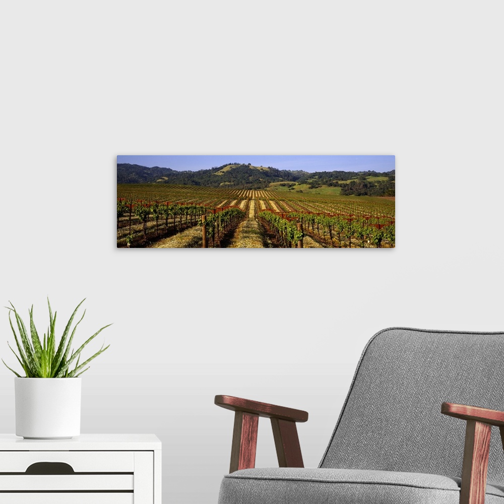 A modern room featuring California, Geyserville, vineyard