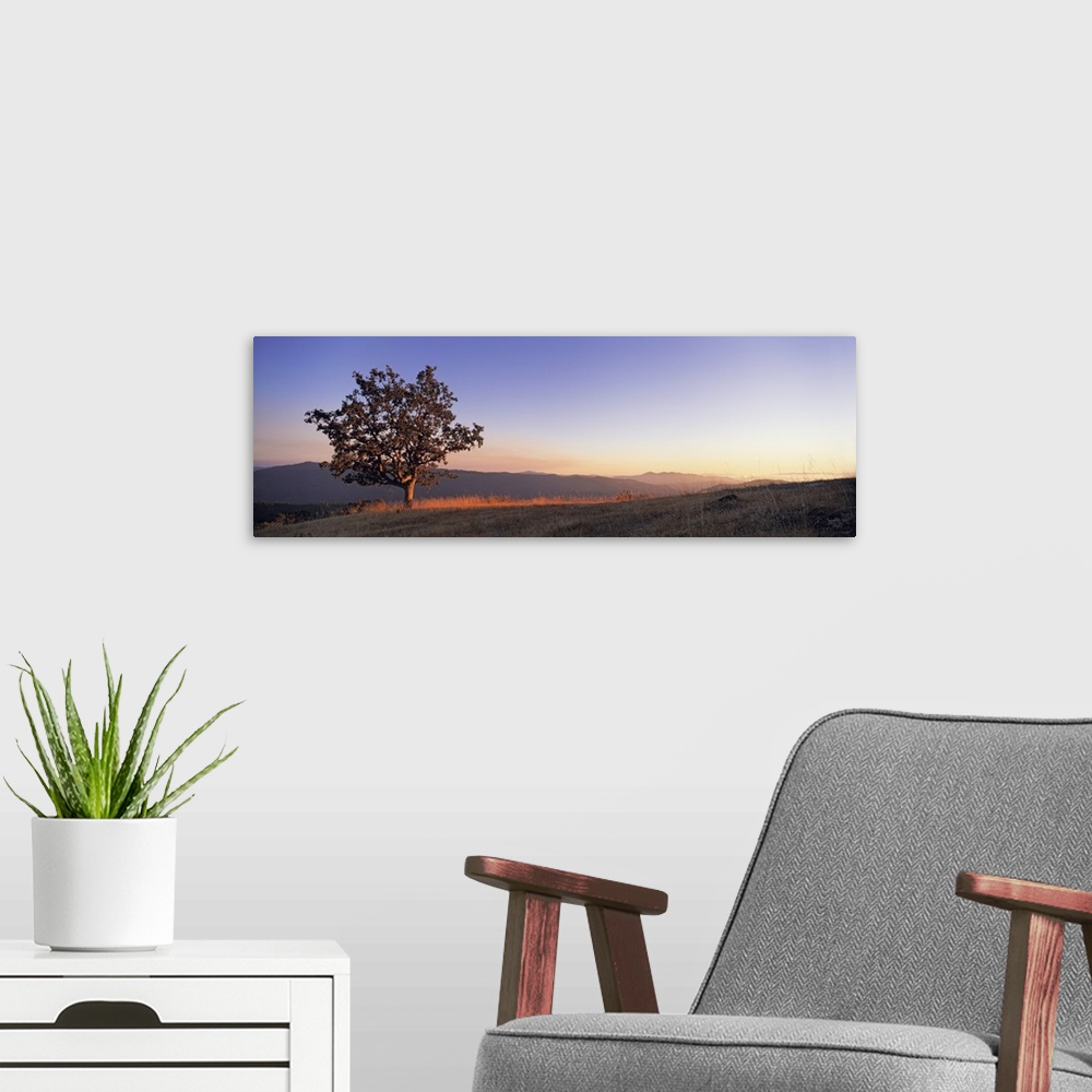 A modern room featuring California, Humboldt Country, View of a lone Oak tree at dusk