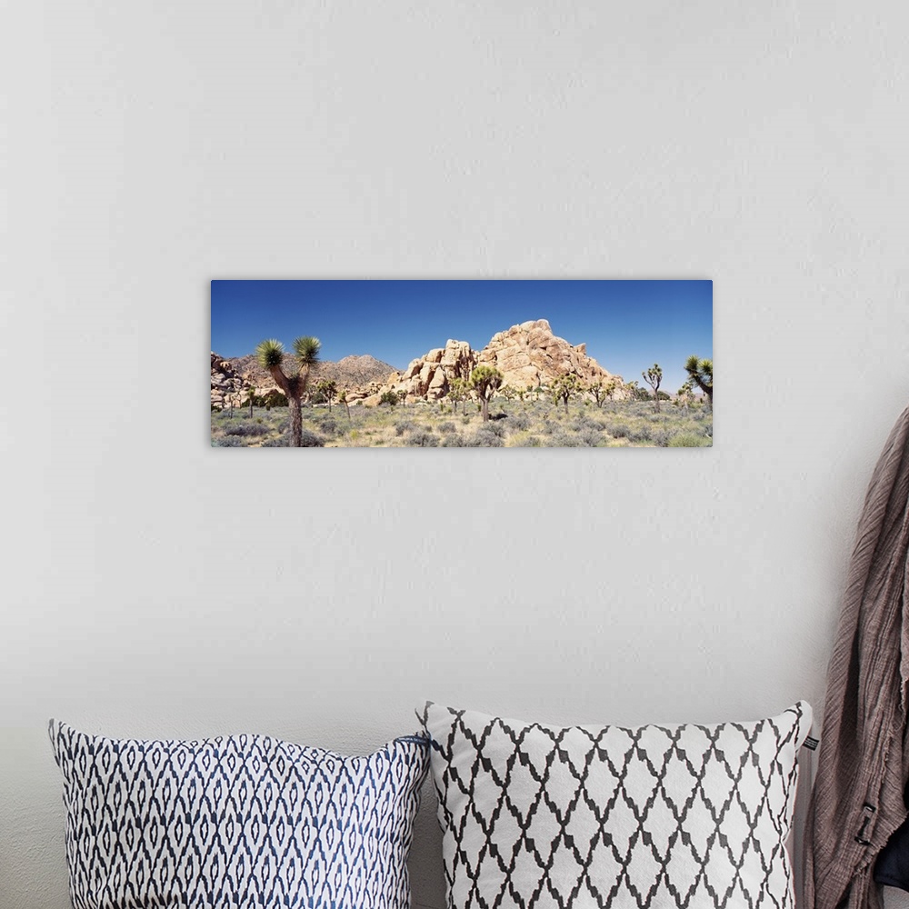 A bohemian room featuring California, Joshua Tree National Monument, Rock formation in a arid landscape
