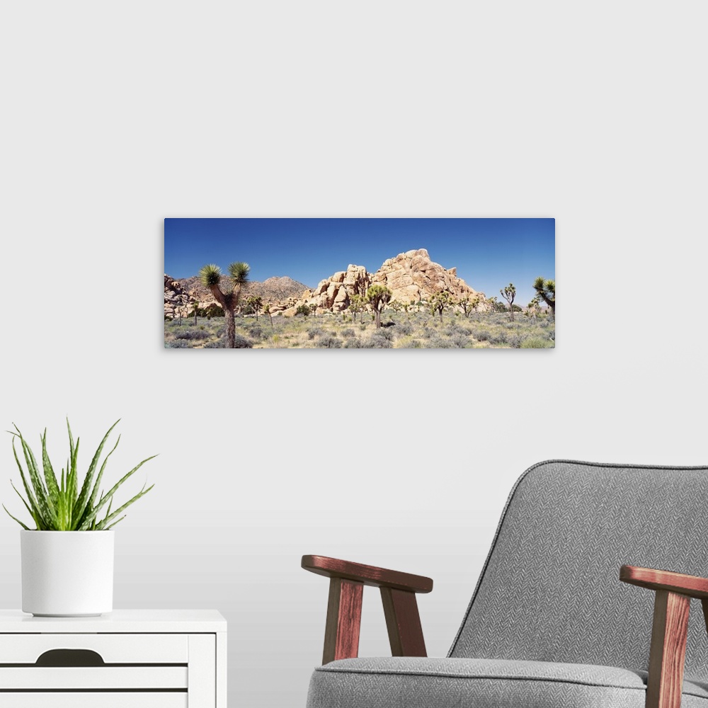 A modern room featuring California, Joshua Tree National Monument, Rock formation in a arid landscape