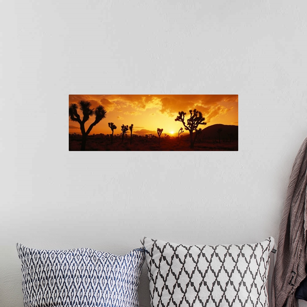A bohemian room featuring Panoramic photograph of desert at dusk covered in trees with mountains in the distance.  The sky ...