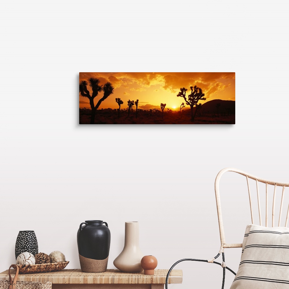 A farmhouse room featuring Panoramic photograph of desert at dusk covered in trees with mountains in the distance.  The sky ...