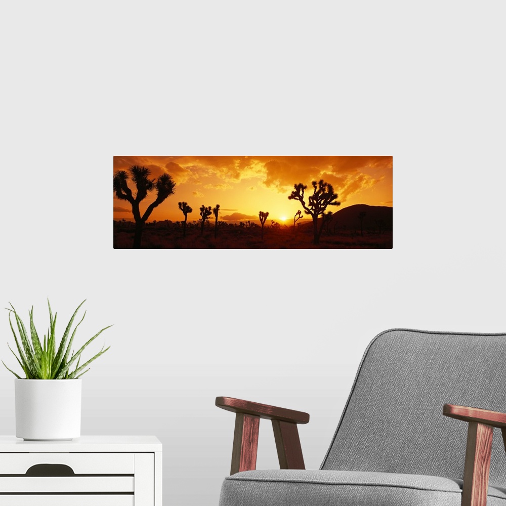 A modern room featuring Panoramic photograph of desert at dusk covered in trees with mountains in the distance.  The sky ...