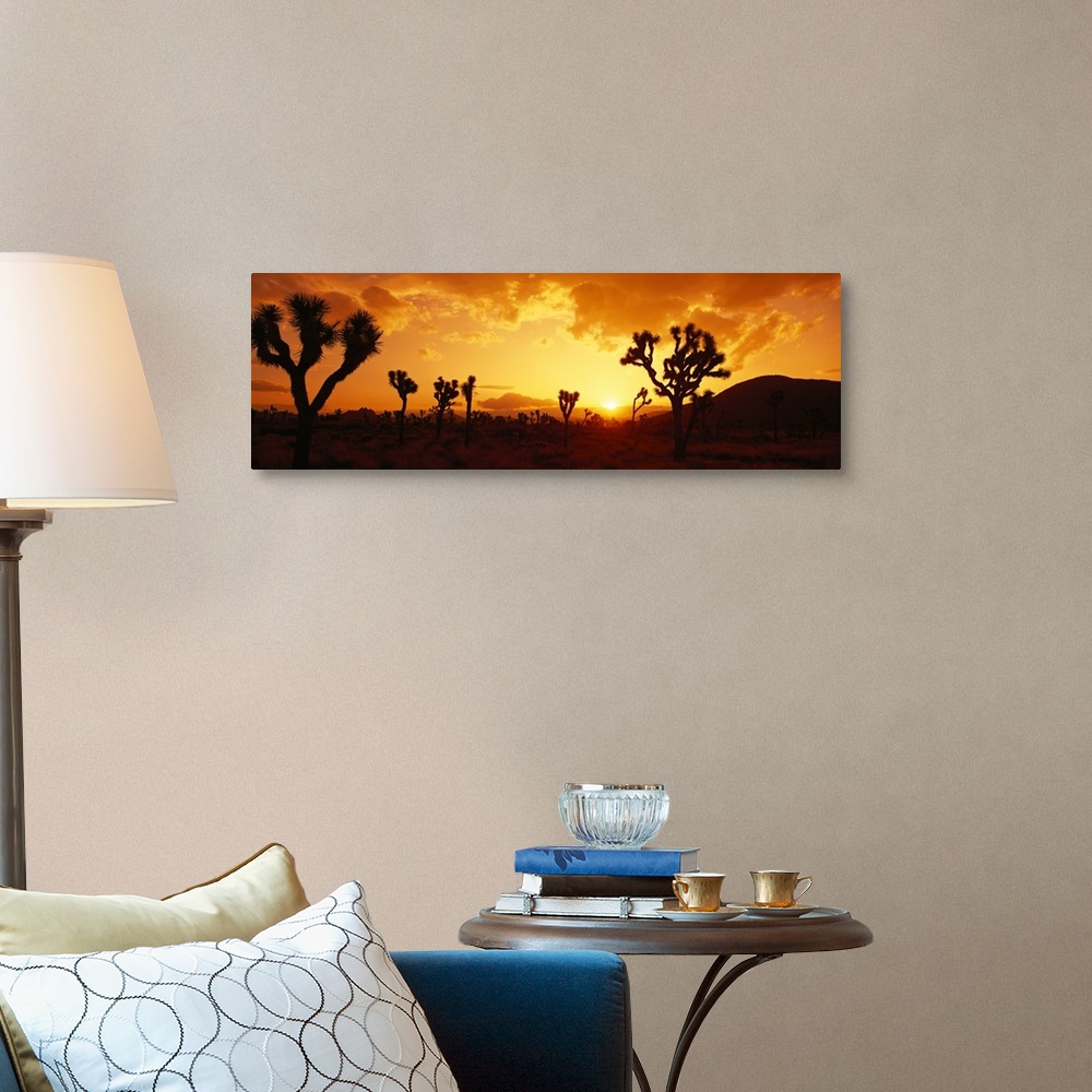 A traditional room featuring Panoramic photograph of desert at dusk covered in trees with mountains in the distance.  The sky ...