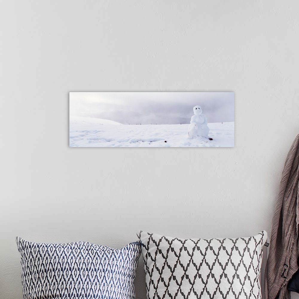 A bohemian room featuring California, Kneeland, Snowman on a polar landscape