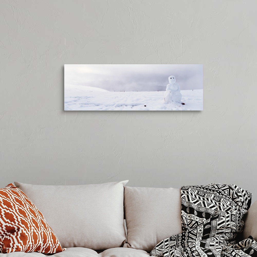 A bohemian room featuring California, Kneeland, Snowman on a polar landscape