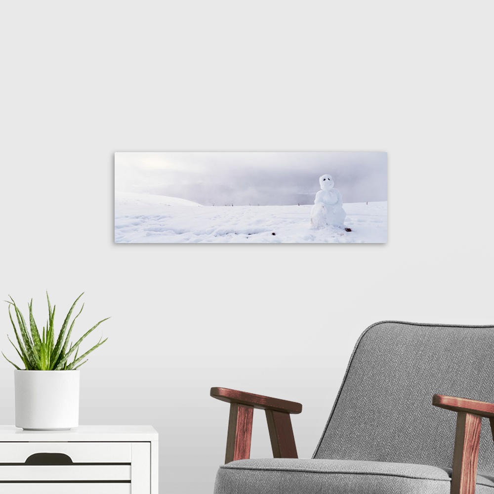 A modern room featuring California, Kneeland, Snowman on a polar landscape