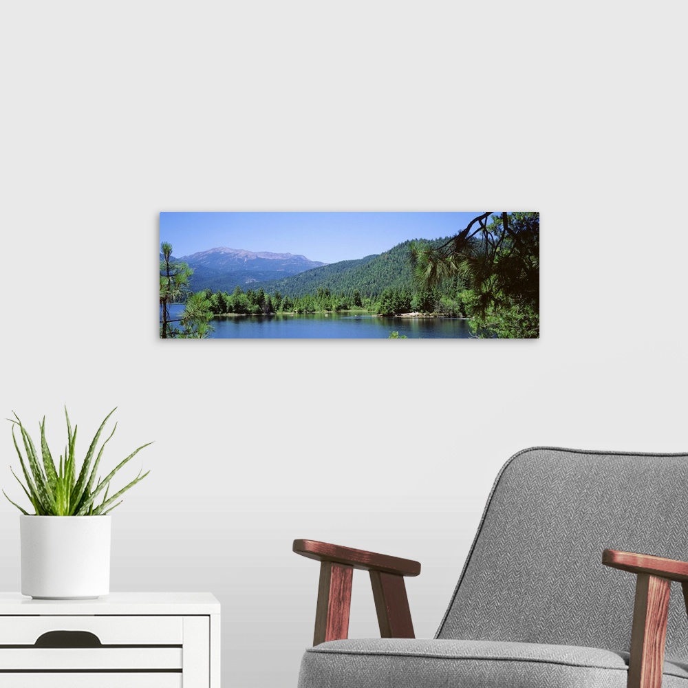 A modern room featuring California, Lake Siskiyou in Mt. Shasta
