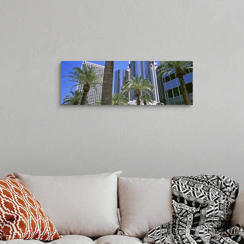 A bohemian room featuring California, Los Angeles, Low angle view of high rise buildings and palm trees
