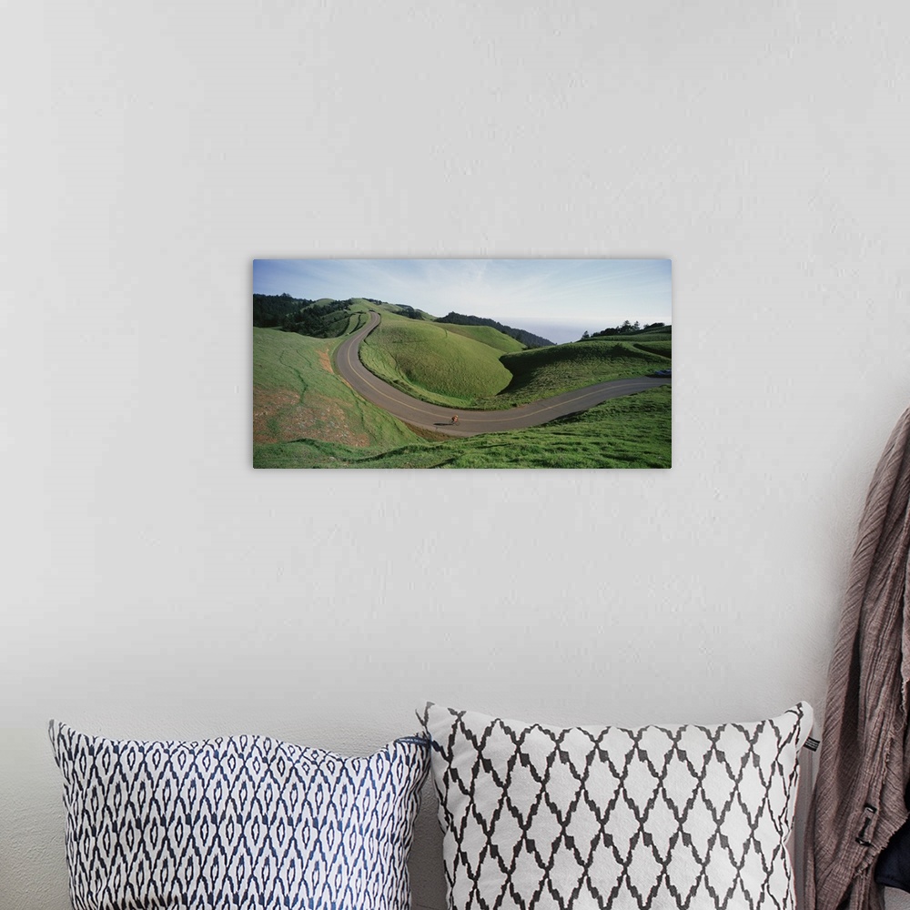 A bohemian room featuring Large, horizontal photograph of a winding road through the green landscape of Bolinas Ridge in Ma...