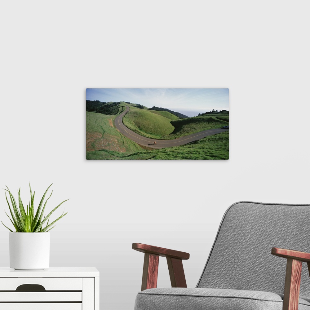 A modern room featuring Large, horizontal photograph of a winding road through the green landscape of Bolinas Ridge in Ma...