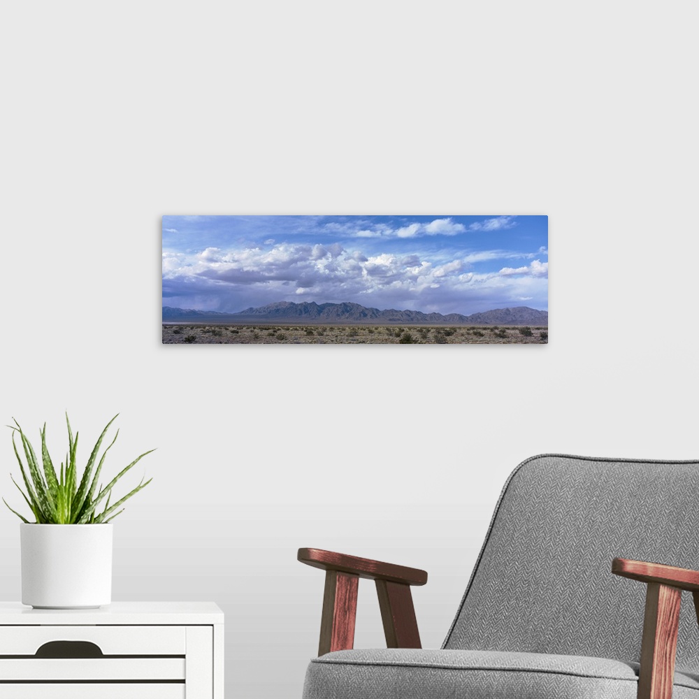 A modern room featuring California, Mojave Desert, Sheep Hole Mountains