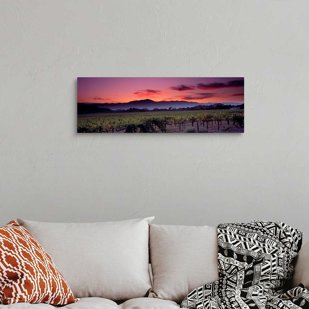 A bohemian room featuring Panoramic photograph of a vineyard with mountains and a sunset in the background.