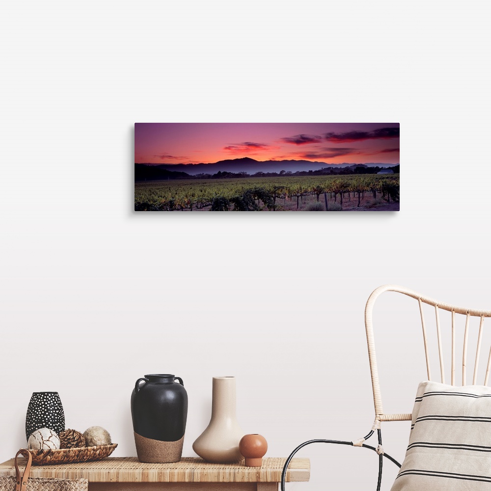 A farmhouse room featuring Panoramic photograph of a vineyard with mountains and a sunset in the background.