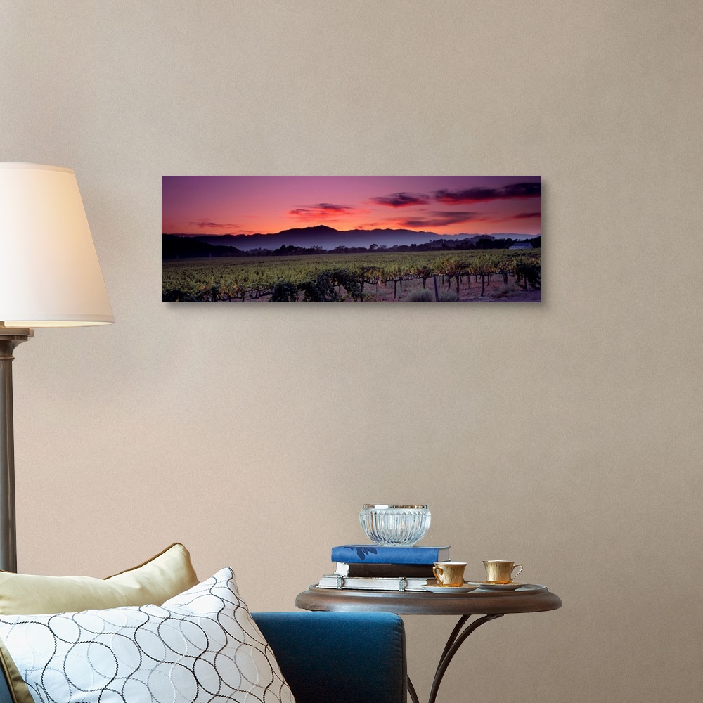 A traditional room featuring Panoramic photograph of a vineyard with mountains and a sunset in the background.