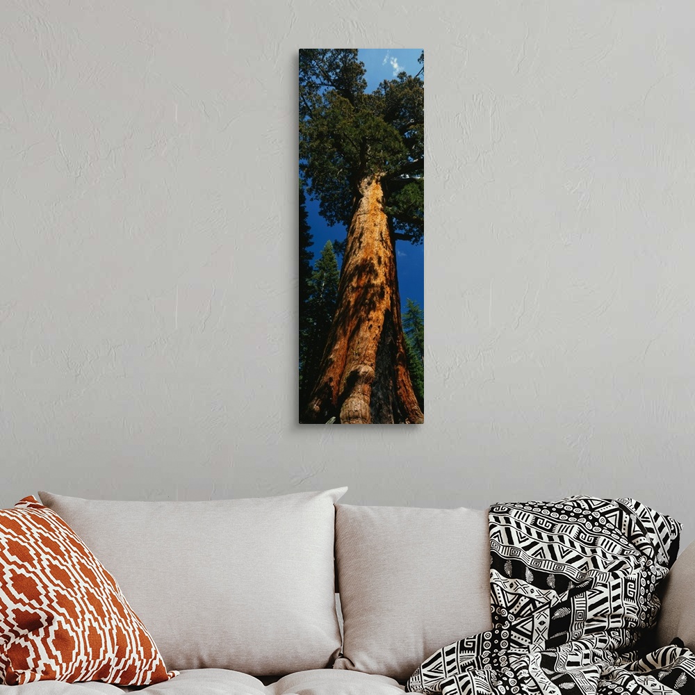 A bohemian room featuring Vertical photograph on a giant wall hanging of Grizzly Giant, the large redwood sequoia in Yosemi...