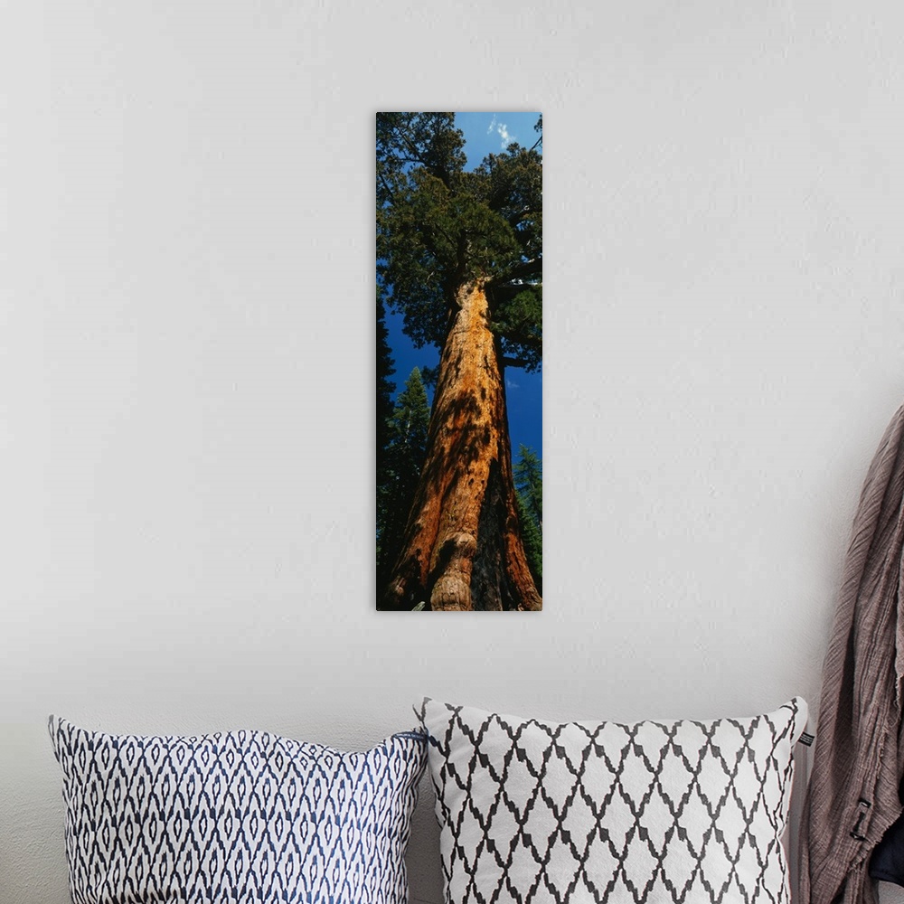 A bohemian room featuring Vertical photograph on a giant wall hanging of Grizzly Giant, the large redwood sequoia in Yosemi...