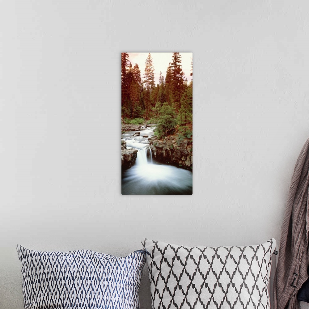 A bohemian room featuring Giant vertical photograph of a small waterfall at the edge of a rocky river, surrounded by a dens...