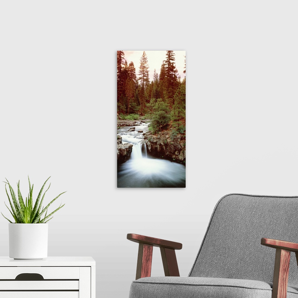 A modern room featuring Giant vertical photograph of a small waterfall at the edge of a rocky river, surrounded by a dens...