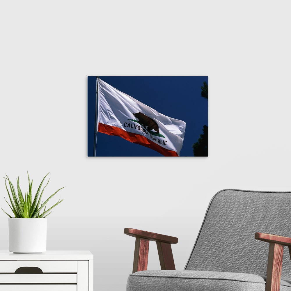 A modern room featuring California State Flag