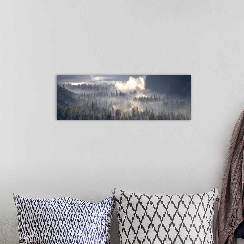 A bohemian room featuring California, Yosemite National Park, Fog over the forest