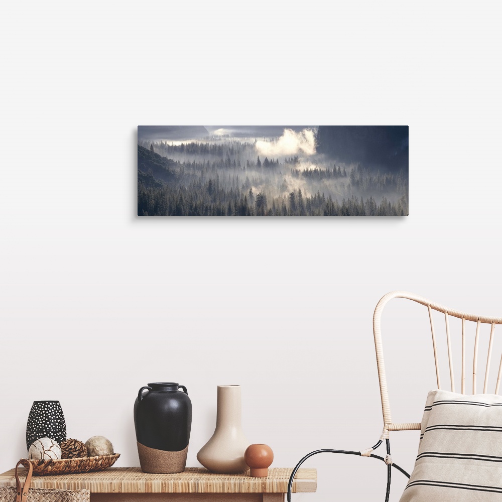 A farmhouse room featuring California, Yosemite National Park, Fog over the forest