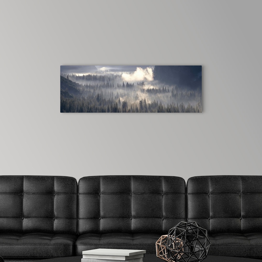 A modern room featuring California, Yosemite National Park, Fog over the forest