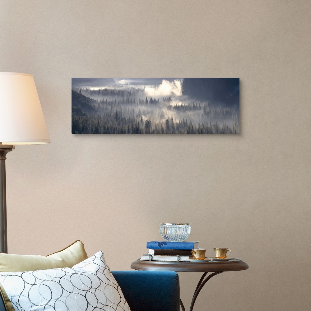 A traditional room featuring California, Yosemite National Park, Fog over the forest