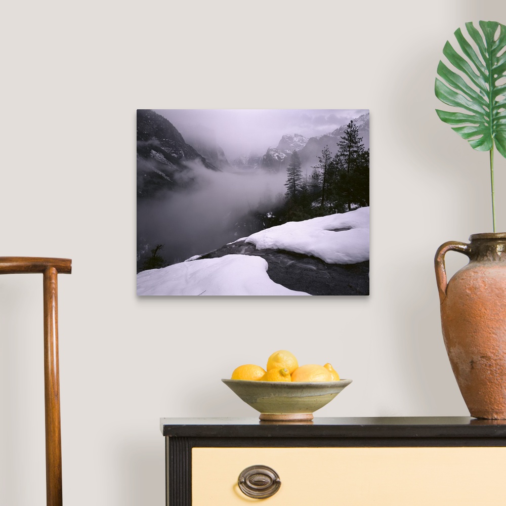 A traditional room featuring California, Yosemite National Park, Fog over the forest