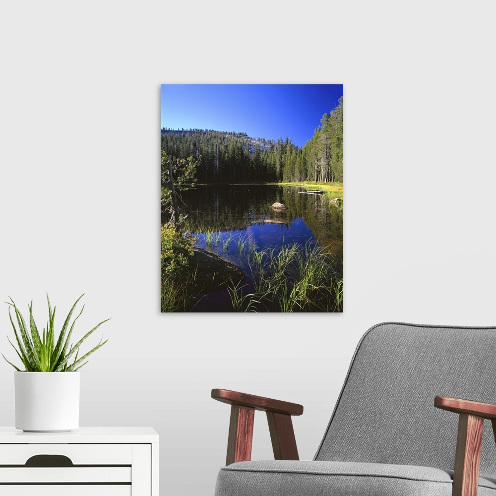 A modern room featuring California, Yosemite National Park, Reflection of tree and mountain in the water