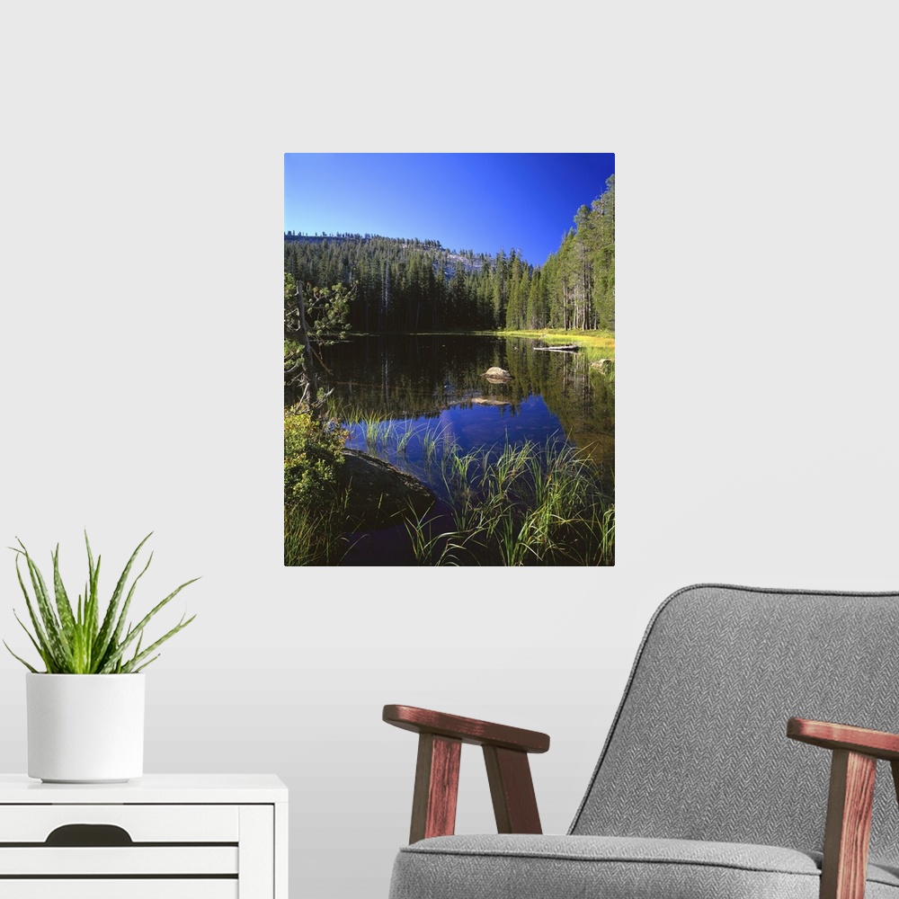 A modern room featuring California, Yosemite National Park, Reflection of tree and mountain in the water