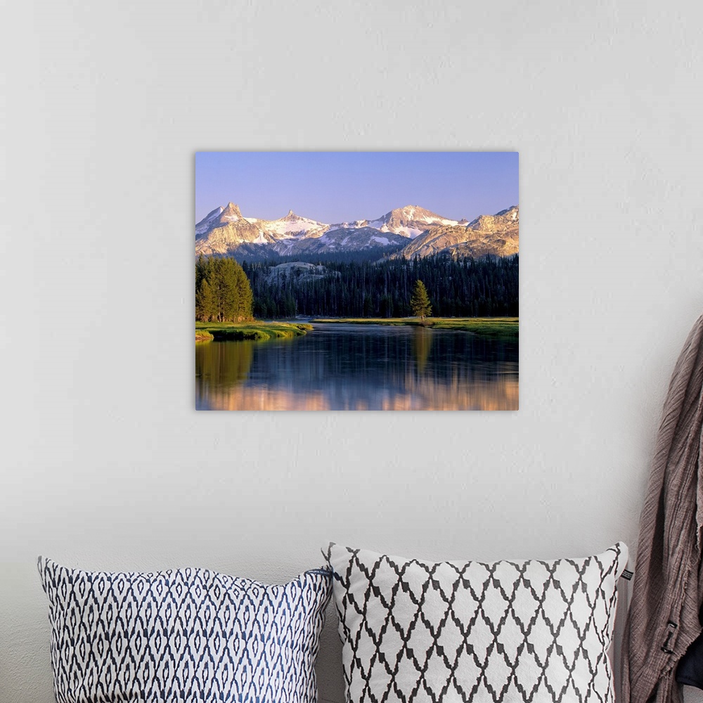 A bohemian room featuring Big art  work for the home or office this is a landscape photograph of mountains and conifer tree...