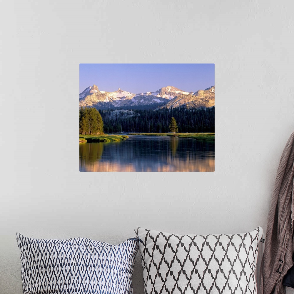A bohemian room featuring Big art  work for the home or office this is a landscape photograph of mountains and conifer tree...