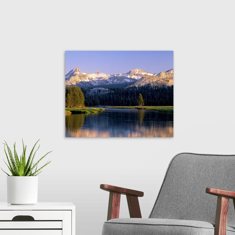 A modern room featuring Big art  work for the home or office this is a landscape photograph of mountains and conifer tree...