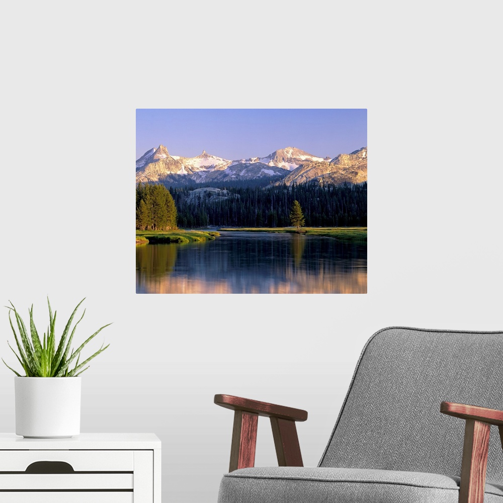 A modern room featuring Big art  work for the home or office this is a landscape photograph of mountains and conifer tree...