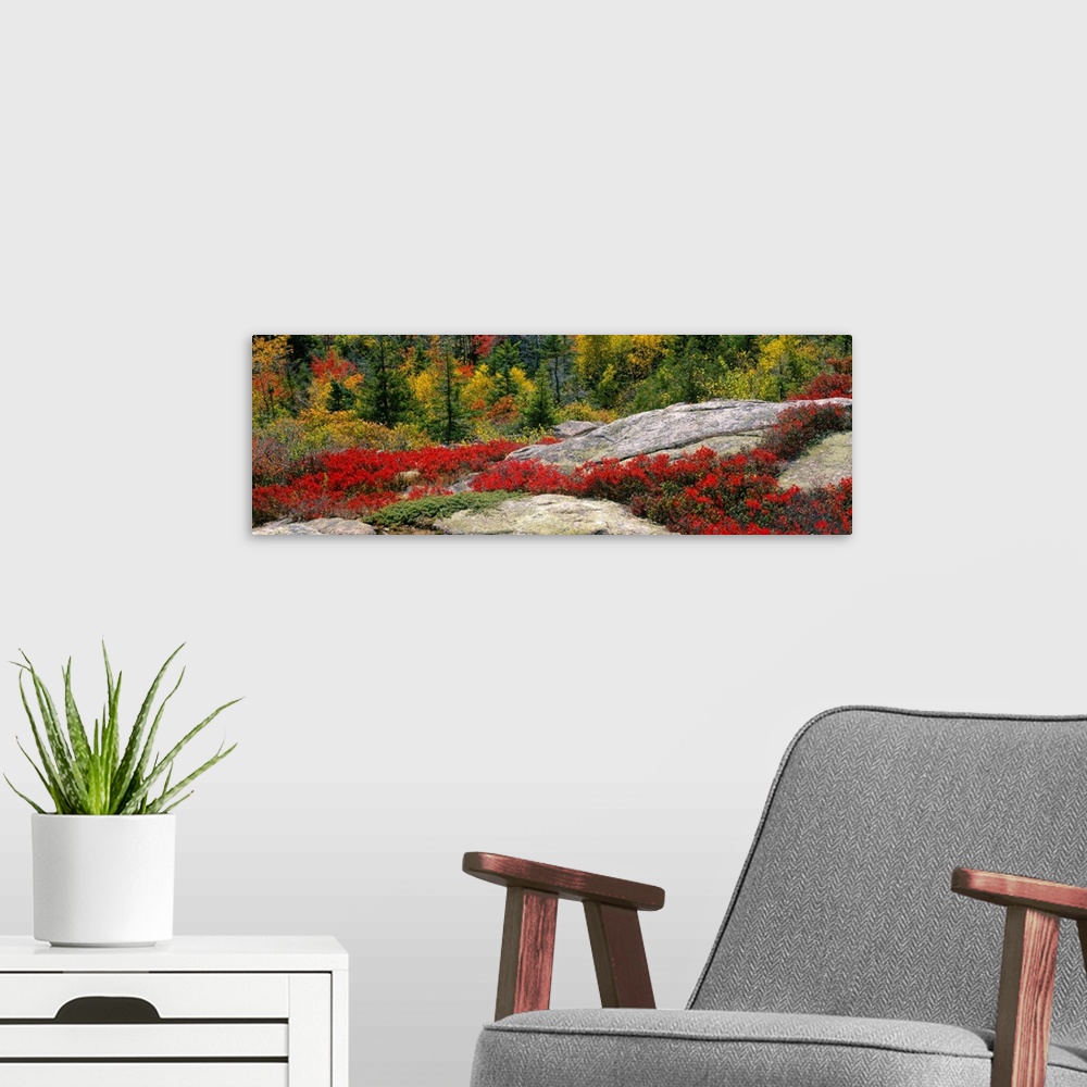 A modern room featuring Panoramic photograph shows a large rock face interspersed with brightly colored flowers between t...