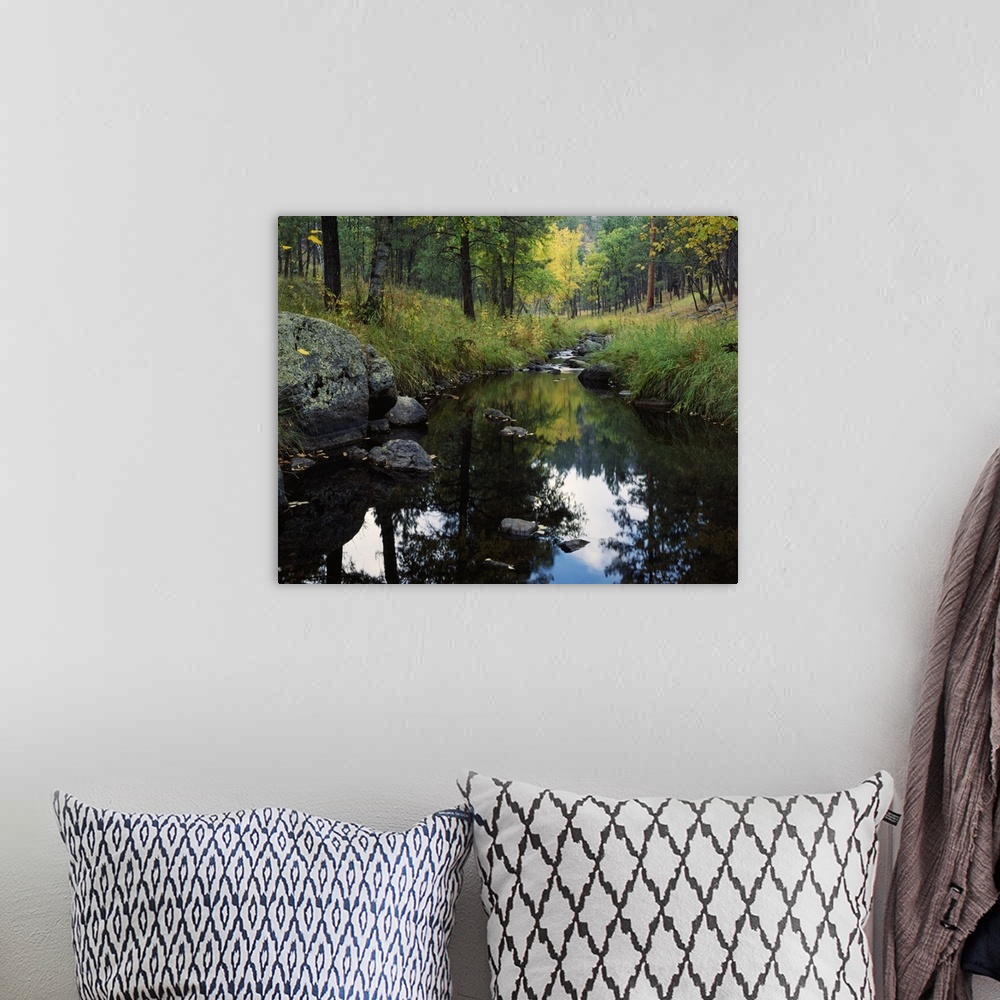 A bohemian room featuring Nature photograph of a calm creek with tall grass and trees lining the sides.