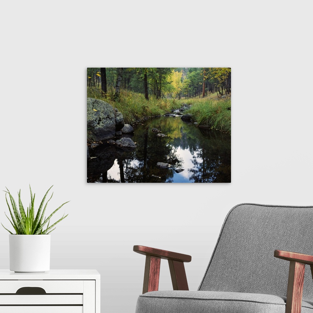 A modern room featuring Nature photograph of a calm creek with tall grass and trees lining the sides.