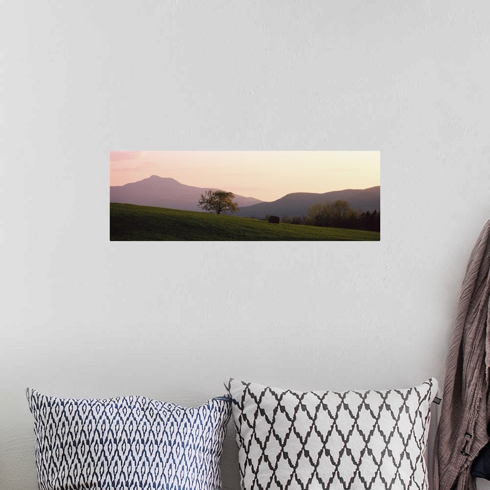 A bohemian room featuring Panoramic picture of a lone tree standing in the middle of a rolling hill field at the base of Ne...