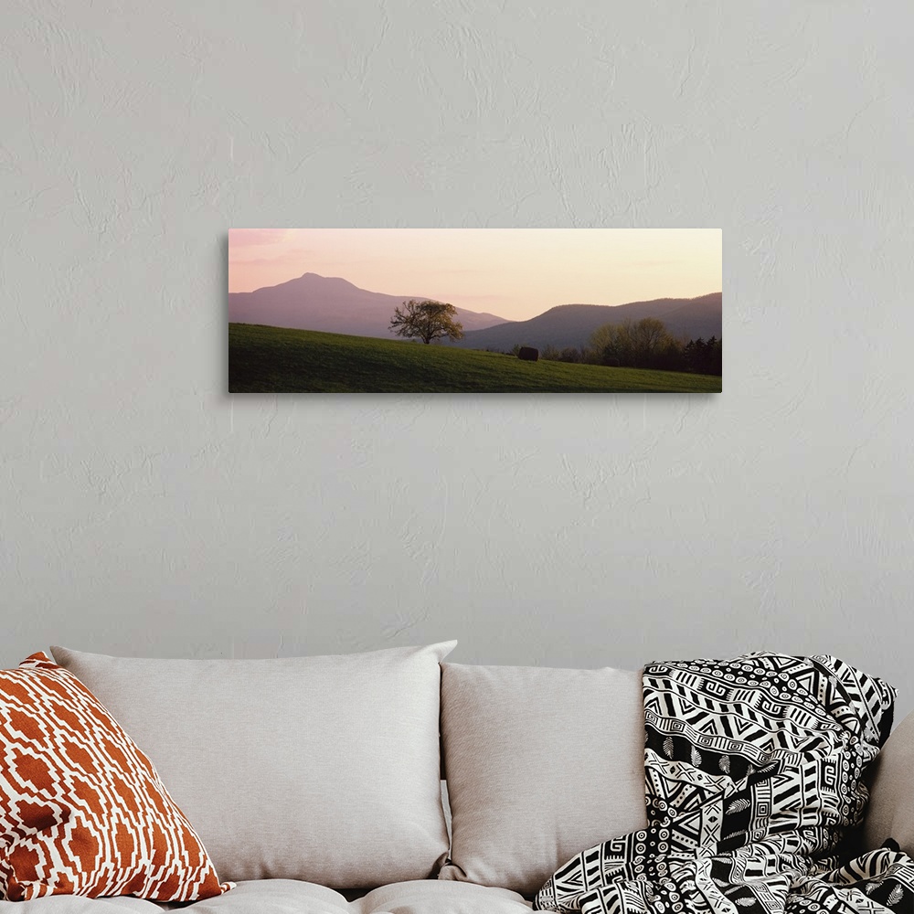 A bohemian room featuring Panoramic picture of a lone tree standing in the middle of a rolling hill field at the base of Ne...