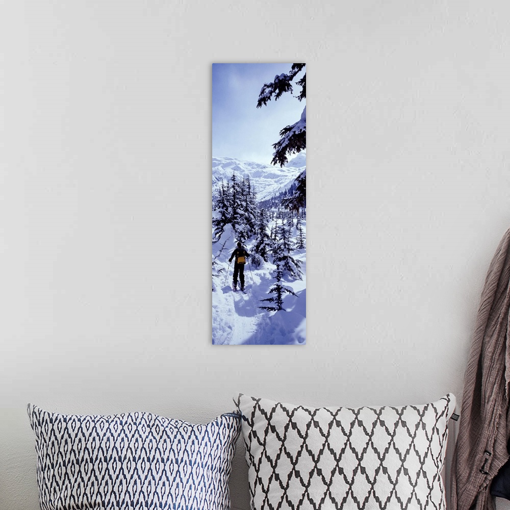 A bohemian room featuring Canada, British Columbia, cross country skiing