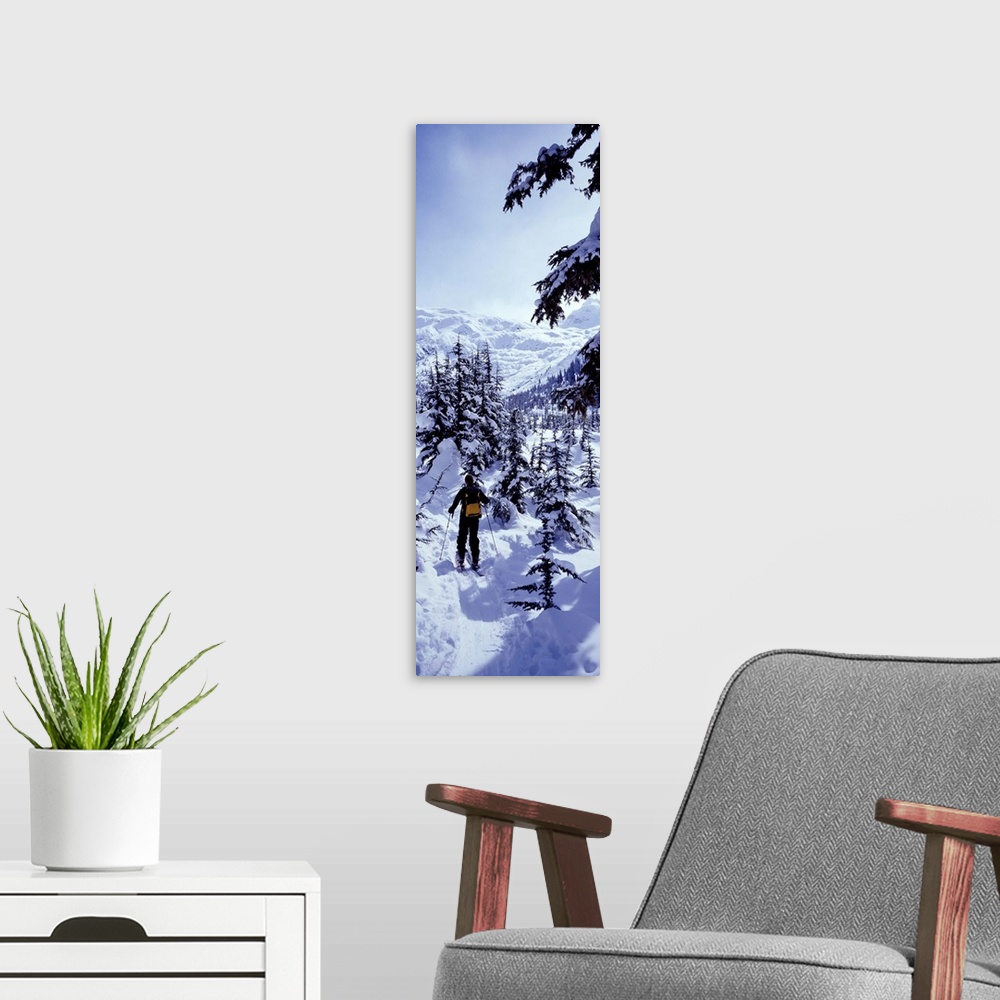 A modern room featuring Canada, British Columbia, cross country skiing