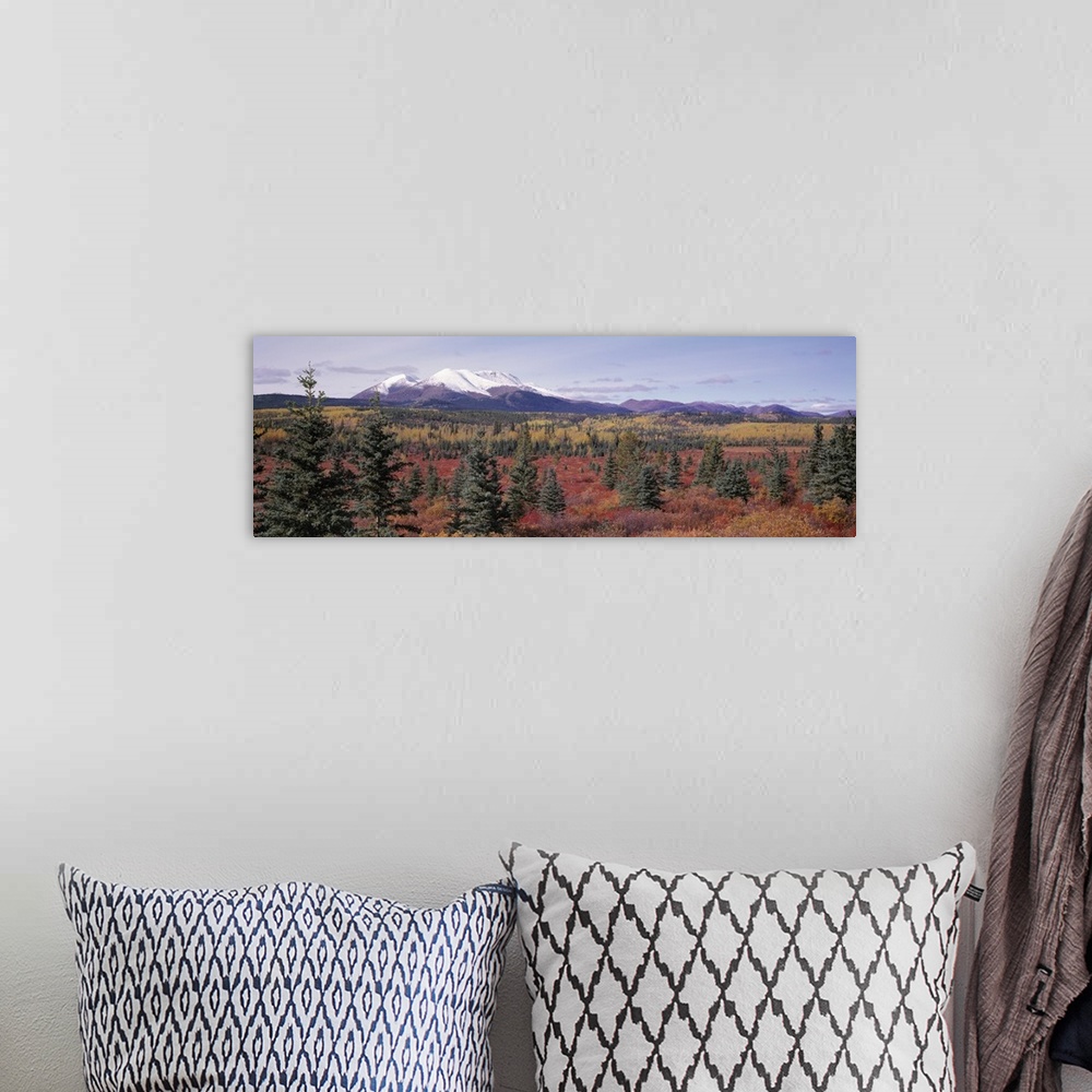A bohemian room featuring Canada, Yukon Territory, View of pines trees in a valley