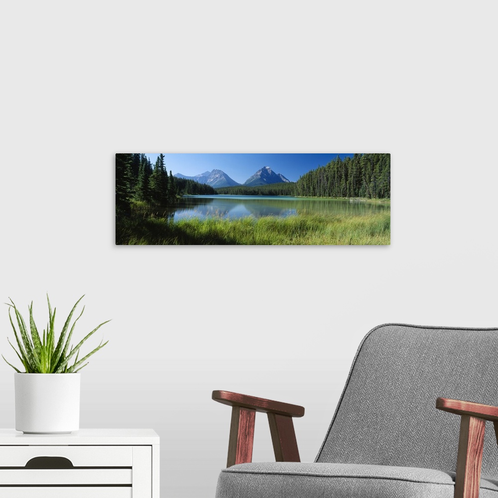 A modern room featuring Canadian Rockies Banff National Park Alberta Canada