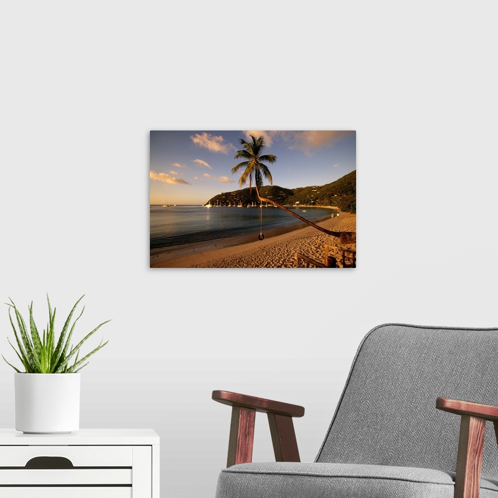 A modern room featuring Photograph of beach front with palm tree that has a tire swing.  There are sailboats in the water...