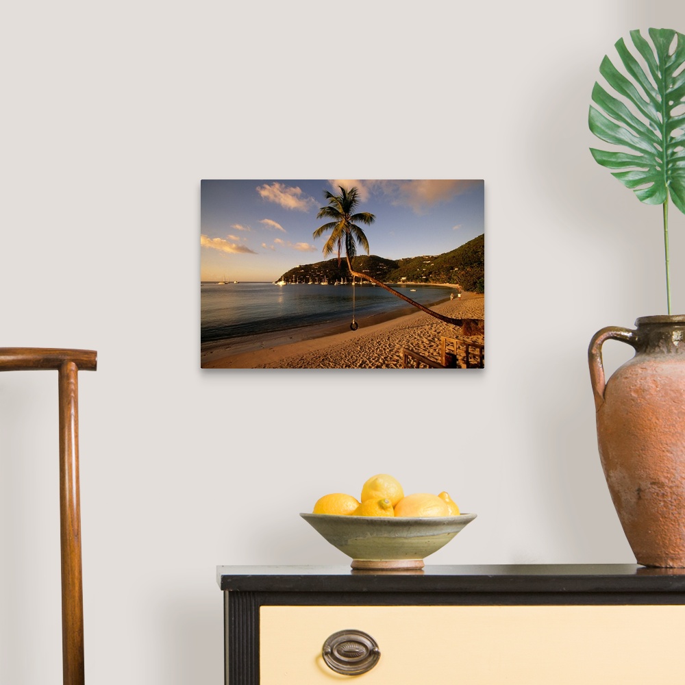 A traditional room featuring Photograph of beach front with palm tree that has a tire swing.  There are sailboats in the water...