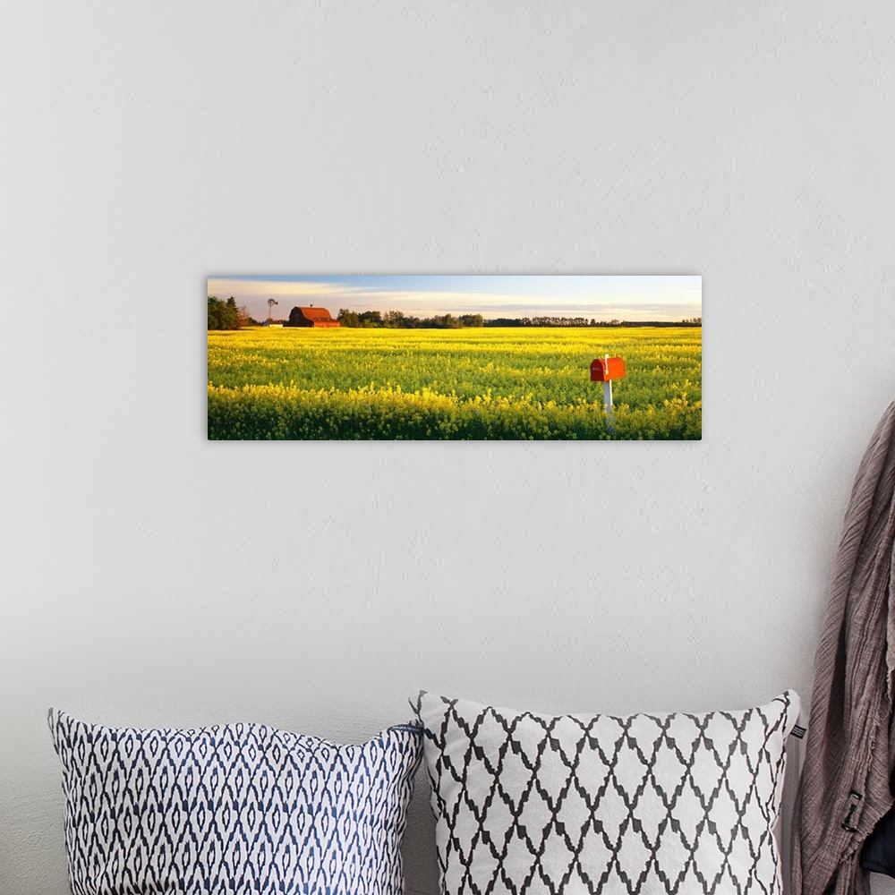 A bohemian room featuring Panoramic photograph of a golden canola field with a mailbox in the foreground, a barn, windmill ...