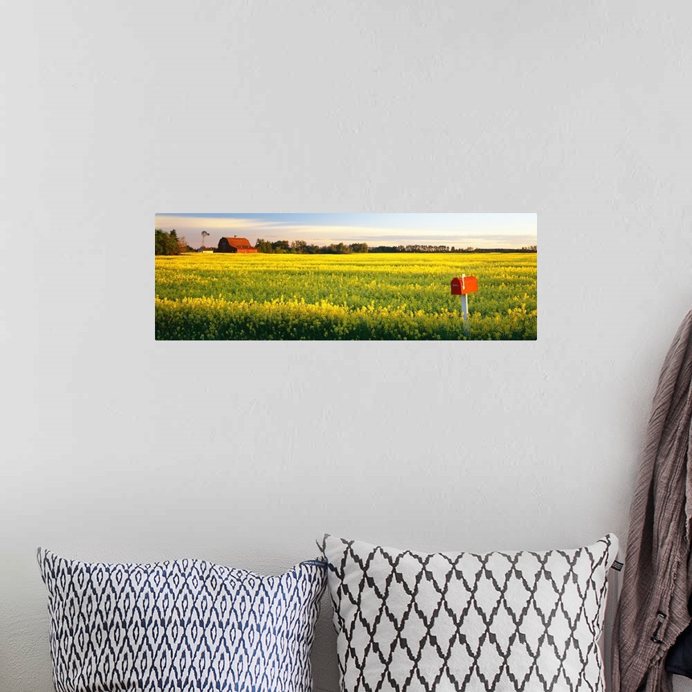 A bohemian room featuring Panoramic photograph of a golden canola field with a mailbox in the foreground, a barn, windmill ...