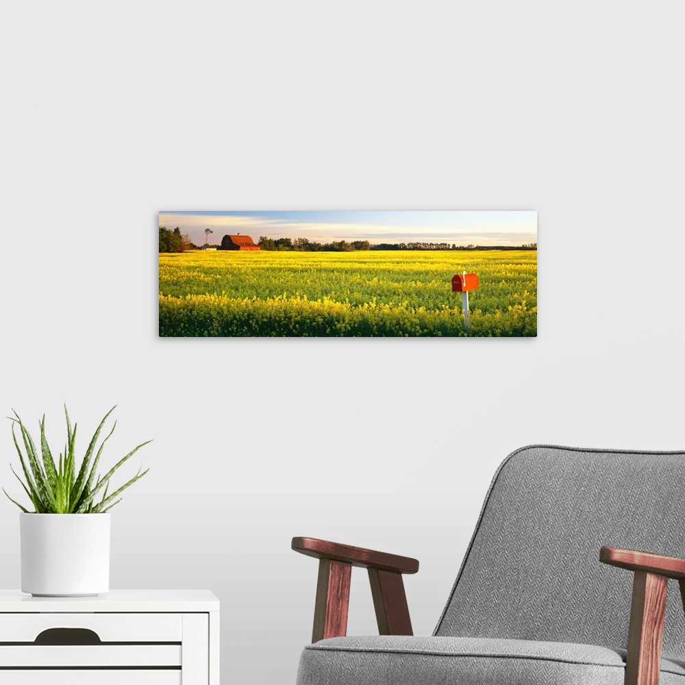 A modern room featuring Panoramic photograph of a golden canola field with a mailbox in the foreground, a barn, windmill ...