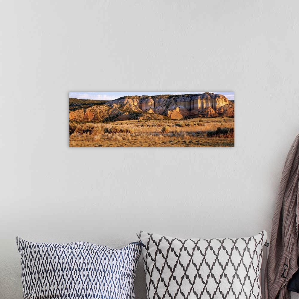 A bohemian room featuring Canyons on a landscape, Chama River Canyon Wilderness Area, Coyote Ranger District, Santa Fe Nati...